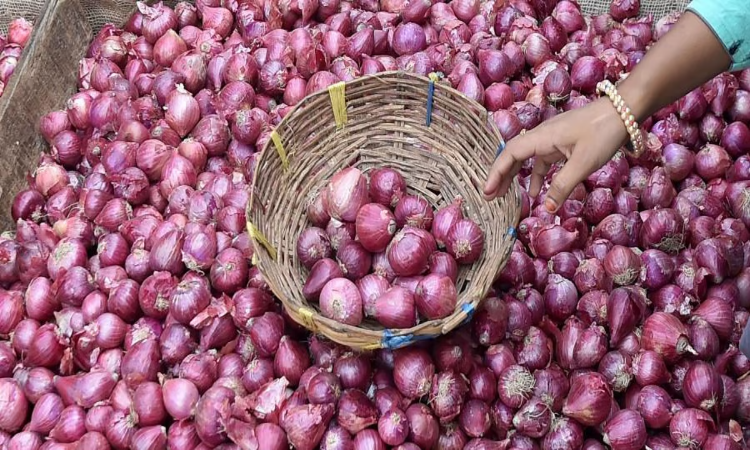 Onion prices: लहसुन के बाद अब प्याज भी निकाल रही आंसू, कीमत में हो सकता है उछाल