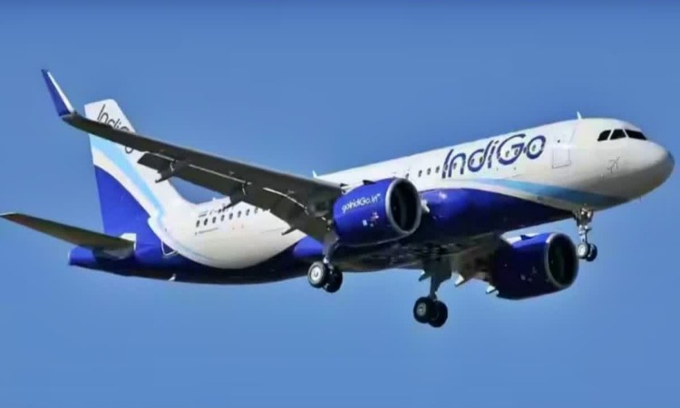 Indigo Flight: फ्लाइट में यात्रियों की हालत हुई खराब, किया हंगामा जानें पूरा मामला