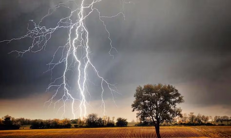 Lightning Weather: आकाशीय बिजली का कहर! बिजली गिरने से 21 लोगों की मौत