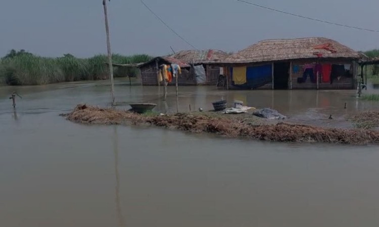 Bihar Floods: गंडक नदी का कहर! कई गांव में घुसा पानी, लोगो की बढ़ी मुश्किलें