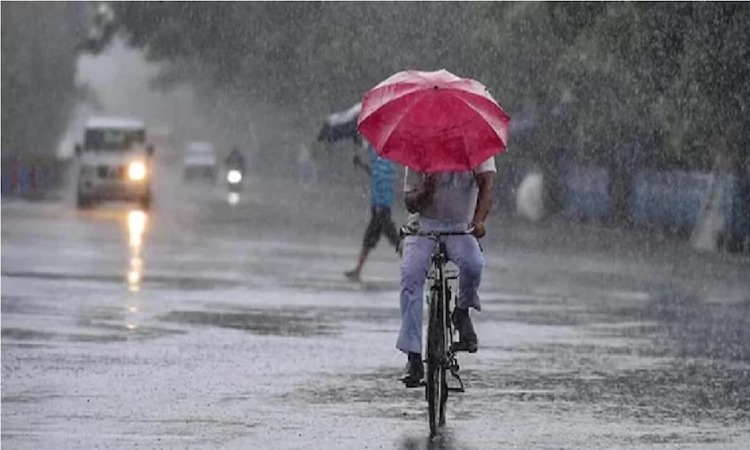 Bihar Weather: कई जिलों में भारी बारिश का अलर्ट, जानिए आपके जिले का हाल